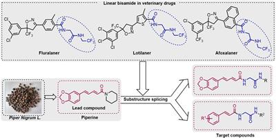 Design, synthesis, and insecticidal activity evaluation of piperine derivatives